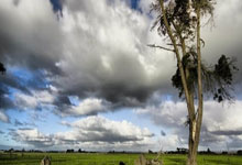 28Circle- 集结日塞维利亚备战足总杯，内部沟通细节曝光，底气十足，心理建设被强调